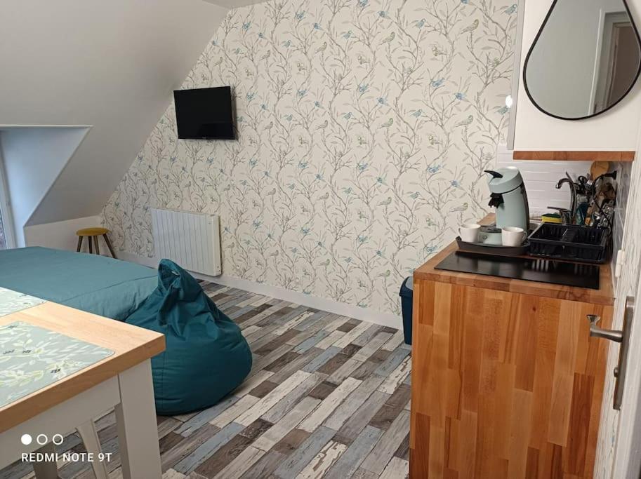 Magnifique Studio Climatisation, Parking A Velos, Velos En Option, Centre Ville Parking Prive Jardin Montargis Exterior photo